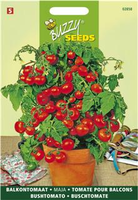 Tomaat maja balkontomaat 0.75g - afbeelding 4