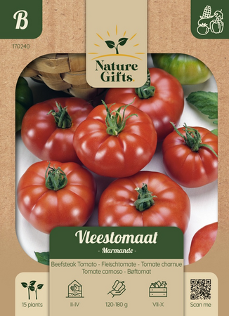 Tomaat marmande 15st