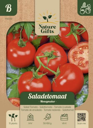 Tomaat moneymaker 15st