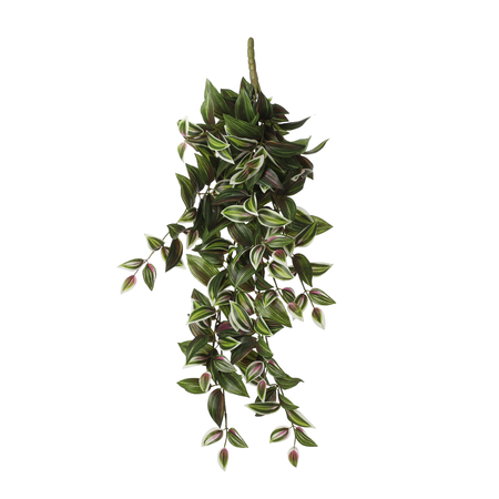 Tradescantia hang l54b20h15cm groen