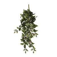 Tradescantia hang l54b20h15cm groen