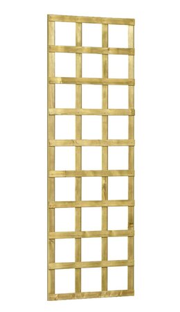 Trellis scherm robuust h180b60cm