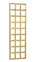 Trellis scherm robuust h180b60cm