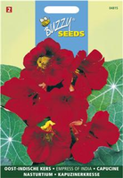 Tropaeolum majus nanum empress o 3g - afbeelding 4