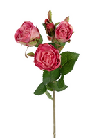 Trosroossteel l38cm dnkr roze