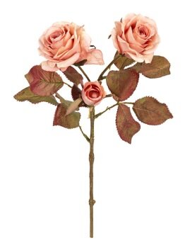 Trosroossteel l40cm zalm