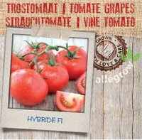 Trostomaat - afbeelding 2