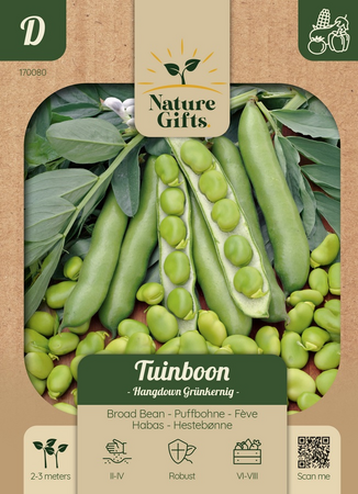 Tuinboon hangdown groenkernig per 4m