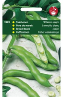 Tuinboon witkiem major 75g - afbeelding 4