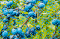 Tuinnet nano h2b5m blauw - afbeelding 2