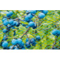 Tuinnet nano h4b10m blauw - afbeelding 3