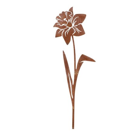 Tuinsteker narcis h37cm bruin