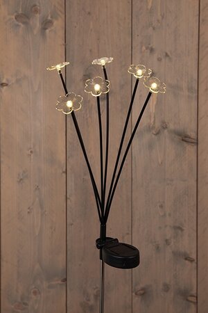 Tuinsteker solar 6xbloem 70x4cm ww