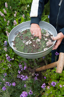 Tuinzeef h7.4d37cm mazen 6mm - afbeelding 2