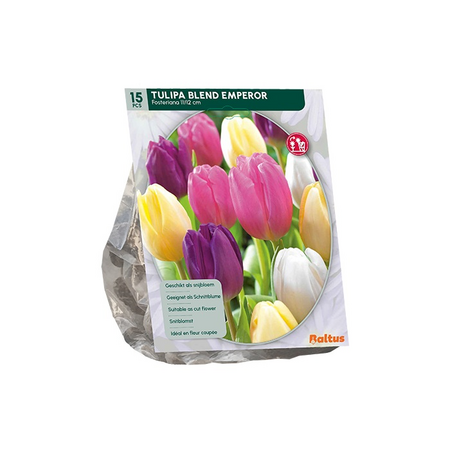 Tulipa blend emperor 15st