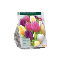 Tulipa blend emperor 15st