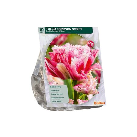 Tulipa dbbl gefr. crspn swt pr 10st