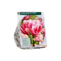 Tulipa dbbl gefr. crspn swt pr 10st