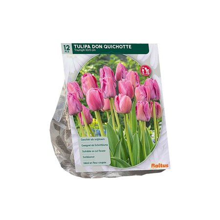 Tulipa don quichotte triumph 12st