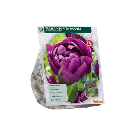 Tulipa dubbel lt negrita doubl 10st