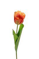 Tulp l60cm oranje/geel