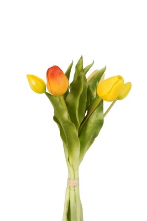 Tulpen bundel x5 l30cm geel/oranje