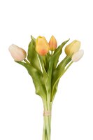 Tulpen bundel x5 l30cm licht geel