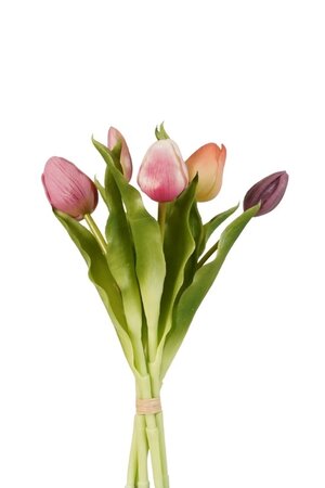 Tulpen bundel x5 l30cm paars