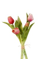 Tulpen bundel x5 l30cm roze
