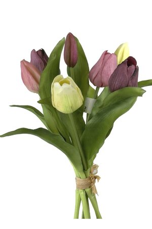 Tulpenbundel h30cm mauve mix