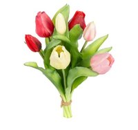 Tulpenbundel h30cm roze/rood mix