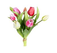 Tulpenbundel h30cm roze/wit mix