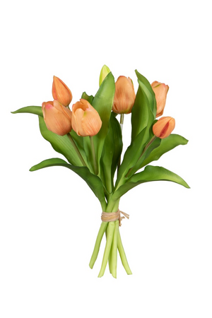 Tulpenbundel h30cm zalm