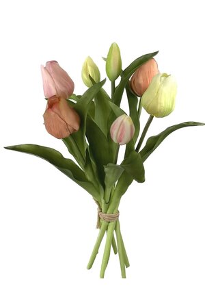 Tulpenbundel h30cm zalm/rz mix
