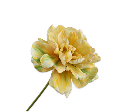 Tulpensteel l69cm geel/groen