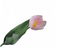 Tulpsteel l36cm roze