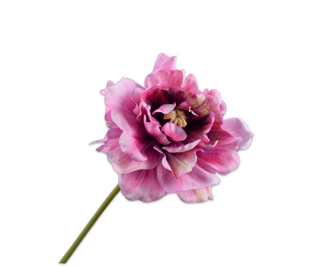 Tulpsteel l69cm roze/beauty