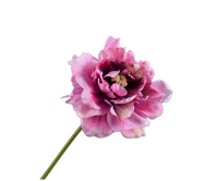 Tulpsteel l69cm roze/beauty