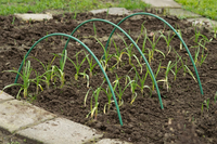 Tunnelbogen h2.50m d11mm - afbeelding 6