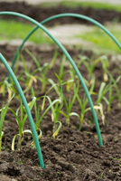 Tunnelbogen h2.50m d11mm - afbeelding 4