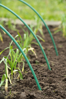 Tunnelbogen h2.50m d11mm - afbeelding 5