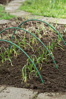 Tunnelbogen h2.50m d11mm - afbeelding 7