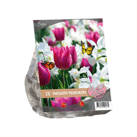 Uf - smelling teardrops 15st