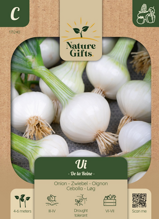 Ui de la reine per 5m