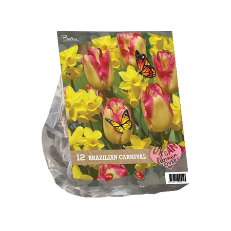 Urban flowers - b. carnaval 12st