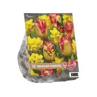 Urban flowers - b. carnaval 12st