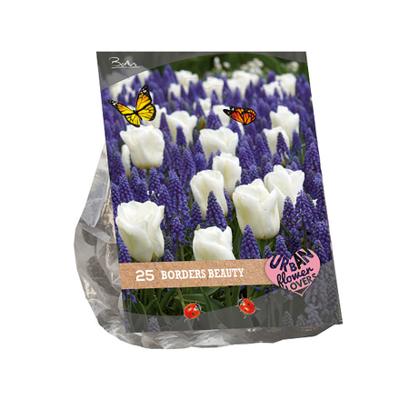 Urban flowers - borders beauty 25st