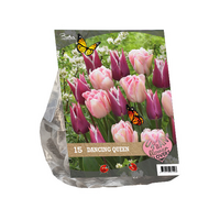 Urban flowers - dancing queen 15st