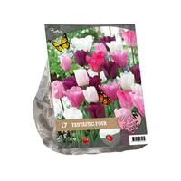 Urban flowers - fantastic four 17st