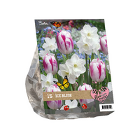 Urban flowers - ice blush 15st